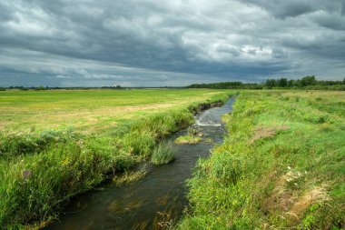 Uherka nehri çayırlardan akar, Czulczyce, doğu Polonya