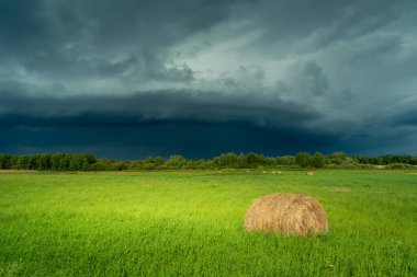Yeşil çayırın üzerinde kara fırtınalı bulut