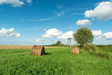 Yeşil çayır ve mavi gökyüzünde saman balyaları