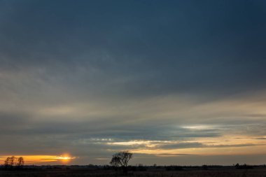 Ufuk ve fotoğrafın altındaki ağaçlar ve akşam bulutları gün batımında, bahar akşamında