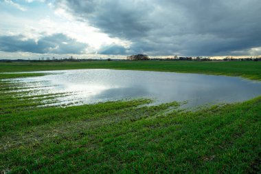 Yeşil bir tarlada su ve bulutlu gökyüzü
