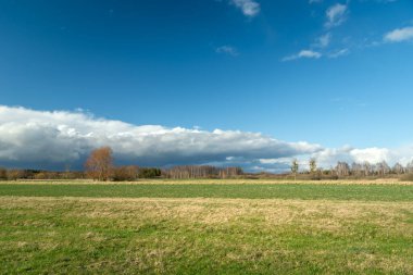 Bahar çayırı ve orman ufukta belirdi. Yerden alçak bulut, Nowiny, Lubelskie, Polonya.