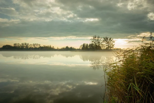 Misty Lake Reeds Cloudy Sky — Stock Photo, Image