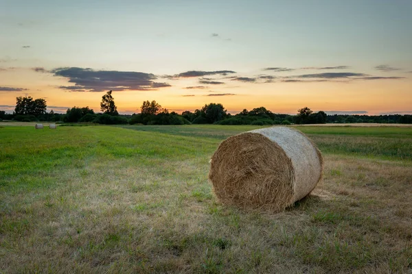 牧草地と夕方の空のヘイベイル ノヴィニー ルベルスキー ポーランド — ストック写真