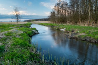 Polonya 'nın doğusundaki Stankow' daki Uherka Nehri, ilkbahar manzarası.