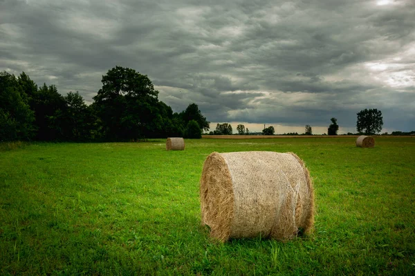 Hay Bale Green Meadow Cloudy Sky Nowiny Lubelskie Poland — Stock Photo, Image