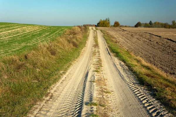 Sandy country road through the fields, Brzezno, Poland — Stock Photo, Image