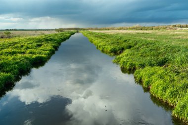 Reflection of clouds in a calm river with a green bank, Czulczyce, Poland