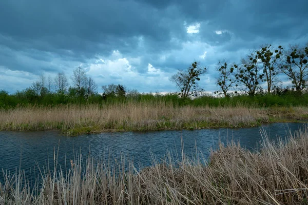 Stagno Con Canneti Cielo Nuvoloso Stankow Lubelskie Polonia — Foto Stock