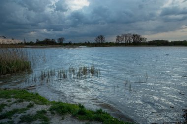 Sazlık ve bulutlu bir göl kıyısı Stankow, Lubelskie, Polonya