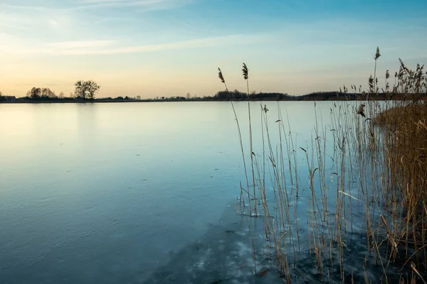 Superfície Congelada Lago Com Juncos Vista Noturna Stankow Polónia — Fotografia de Stock