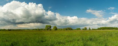 Mavi gökyüzünde ve yeşil çayırda boylamsal bulut