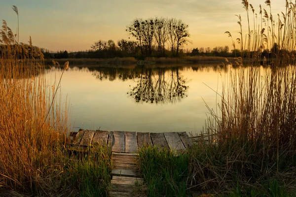 Masse en bois dans le lac et reflet des arbres dans l'eau — Photo