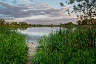 Ahşap güverte yeşil sazlıklar ve akşam gökyüzü Stankow, Lubelskie, Polonya