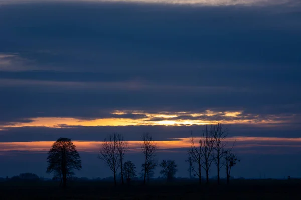 Akşam Bulutları Ufuktaki Ağaç Siluetleri Ilkbahar Manzarası — Stok fotoğraf