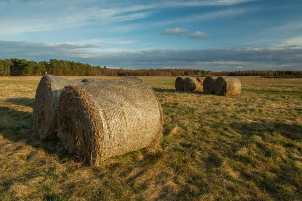 Hay bales in the meadow and cloudy sky — Stock Photo, Image