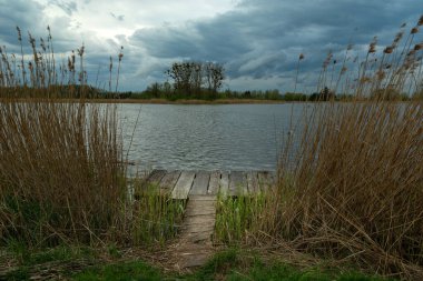 Sazlıklarda küçük bir balıkçı iskelesi ve bulutlu bir gökyüzü, bahar günü