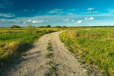 Gravel road and meadows, Czulczyce, Poland