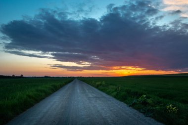 Tarlalarda bir yol ve renkli günbatımı, ilkbahar manzarası
