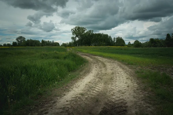 Chemin Terre Travers Les Champs Les Nuages Sombres Jour Printemps — Photo