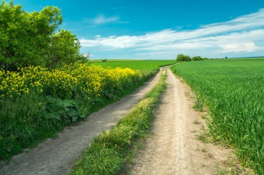 Staw, Lubelskie, Polonya 'ya kadar uzun bir yol var.