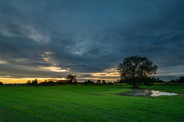Yeşil Tarım Arazisi Bulutlu Akşam Gökyüzü Zarzecze Lubelskie Polonya — Stok fotoğraf