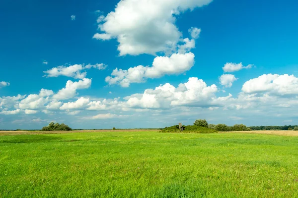 Pradera verde y nubes blancas en el cielo azul — Foto de Stock