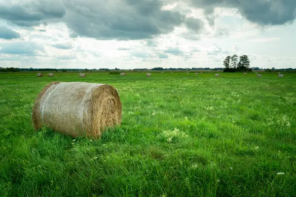 Balík sena ležící na zelené louce — Stock fotografie