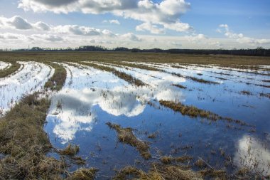 Geniş çayırlarda su ve gökyüzünde bulutlar, Nowiny, Polonya