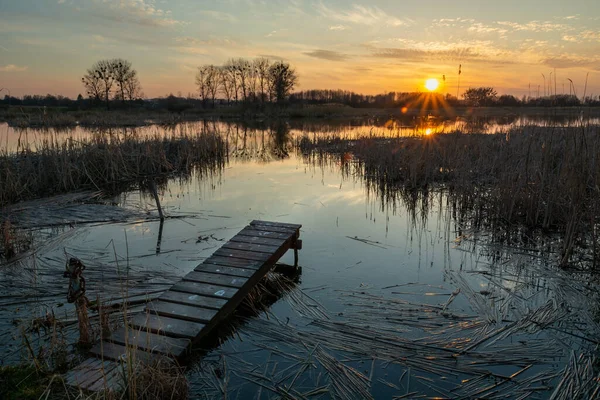 Een kleine pier en een meer met riet — Stockfoto