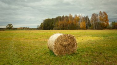 Çayırda ve sonbahar ormanında saman balyası