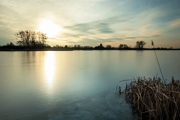 Pôr Sol Bonito Sobre Lago Congelado Com Juncos Stankow Polônia — Fotografia de Stock