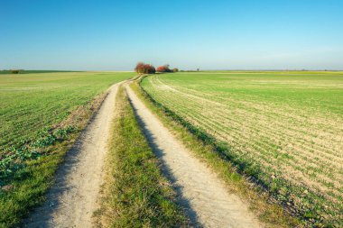 Tarlalarda toprak bir yol ve güzel bir gökyüzü, Staw, Polonya