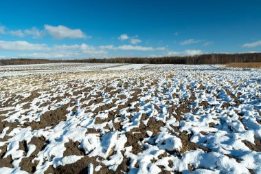 Kırsal alanda eriyen kar, güneşli bir kış günü manzarası, Zarzecze, Lubelskie, Polonya
