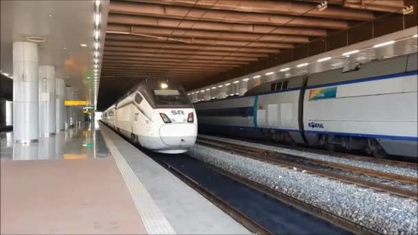 Een Hogesnelheidstrein Die Vertrekt Vanaf Het Station — Stockvideo