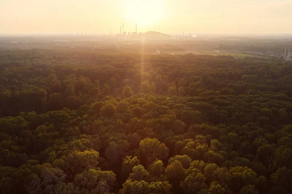 Drone view over forest and trees and an industrial area during the sunset in the ruhr area in Germany