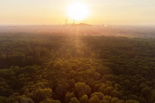 Drohnenblick über Wald und Bäume und ein Industriegebiet bei Sonnenuntergang im Ruhrgebiet Stockfoto