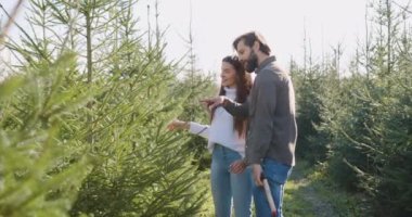 Güzel görünüşlü mutlu aşık bir çiftin portresi Noel ağacını özel bir yerde seçiyor ve Noel tatiline hazırlanıyor.