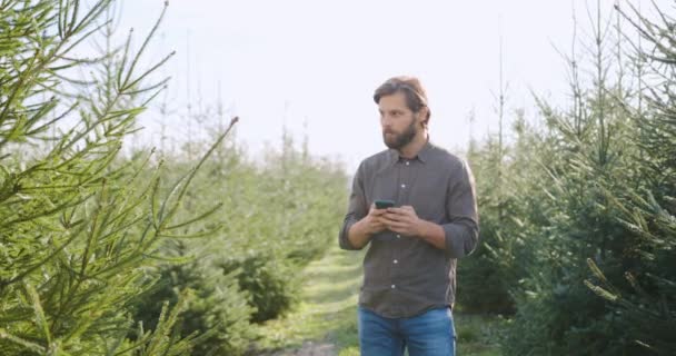 Atractivo hombre barbudo joven concentrado y seguro de sí mismo de pie cerca de abeto grande y haciéndolo imagen en el móvil durante el trabajo en la silvicultura — Vídeos de Stock