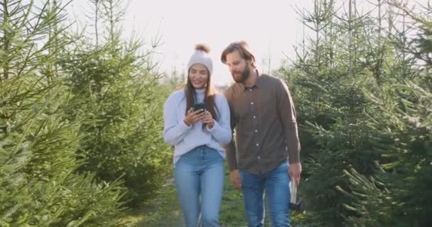 Çekici gülümseyen mutlu genç çift güzel köknar ağaçlarının yanında yürüyorlar, kadın fotoğraf çekiyor, adam tatillerde köknar ağacını kesmeden önce elinde küçük bir balta tutuyor. — Stok video