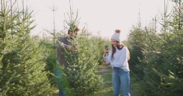 Yakışıklı, neşeli, şapkalı, yeşil köknar ağacını fotoğraflayan esmer bir kız. Sakallı kocasıyla birlikte tatillerde, yavaş çekim için ormancıdan almışlardı. — Stok video