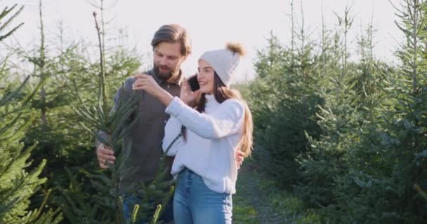 Charmigt leende glad ung kvinna i hatt och stickad tröja pratar i telefon vid köp av gran tillsammans med sin skäggiga make i skogsbruk — Stockvideo
