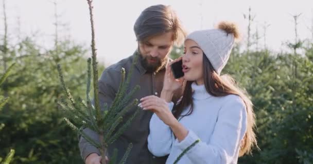 Primo piano di bello positivo paio giovane fortunato che ha comprato abete in posto speciale con impianti di abeti e donna che parla su telefonino — Video Stock