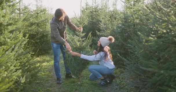 Симпатичная, счастливая, улыбающаяся молодая влюбленная пара связывает нити с красивой елкой, которую они купили в особом месте с еловыми насаждениями. — стоковое видео