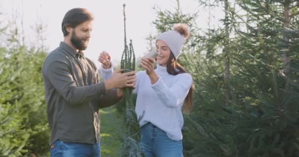 Красивий усміхнений бородатий чоловік тримає ялинку, в той час як його чарівна задоволена дружина пов'язує з нитками вибрану хвойну лісову красу, яку вони вибирають в лісі, вид спереду — стокове відео