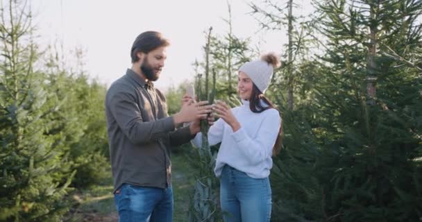 Concepto familiar donde atractiva alegre pareja joven compró abeto en la silvicultura y envolviendo con hilos ramas de pie rodeado de bellezas del bosque — Vídeos de Stock