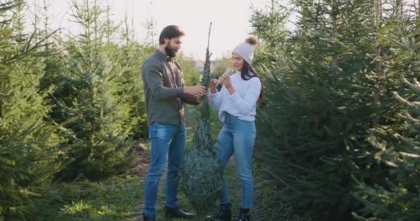 Front view of good-looking contented positive amorous couple which helping each other to wrap with threads beautiful fir tree which they choose in forestry — Stock Video