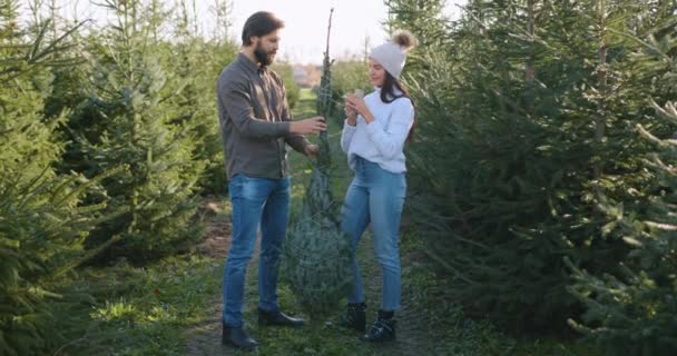 Lovely in good mood happy modern young pair wrapped beautiful fir tree with threads and giving high five each other in forestry,slow motion Stock Video