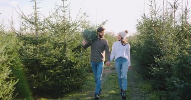 Attraktive zufriedene glückliche unbeschwerte junge verliebte Paare verlassen die Forstwirtschaft, wo sie wunderbare Tanne für den Urlaub gekauft haben und genießen das Gespräch miteinander — Stockvideo