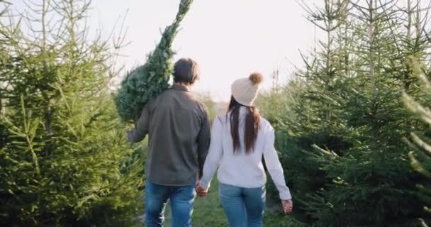 Köknar ağacını köknar ağaçlarıyla özel bir yerde alan ve burayı seçilmiş Charistmas ağacıyla terk eden çekici, mutlu, genç çiftin arka planına. — Stok video